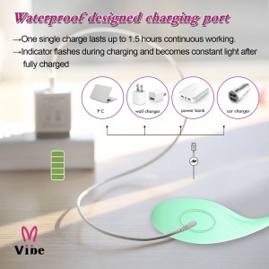 CÁPSULA VIBRÁTORIA POR APLICATIVO