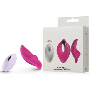 Vibrador Recarregável para Uso com Lingerie e Controle Wireless