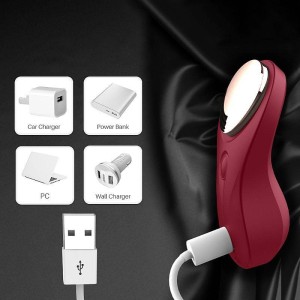 Vibrador de Clitóris para Calcinha com Controle Remoto