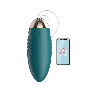 Bullet com Controle Remoto via APP