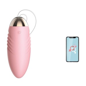 Bullet com Controle Remoto via APP