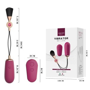 Vibrador com Controle Remoto e Pincel