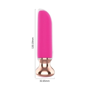 Bullet Mini Vibrator