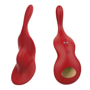 Vibrador de Calcinha via APP