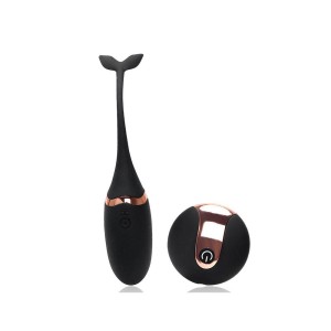 Bullet Recarregável com Controle Remoto