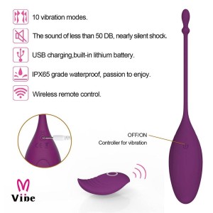 Cápsula Vibrátoria com Controle Remoto