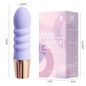 Mini Vibrador Recarregável com 10 Modos de Vibração