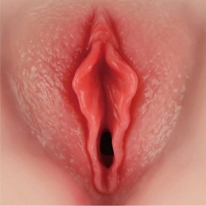 Masturbador Masculino Bunda e Vagina