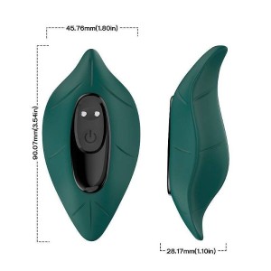 Vibrador de Calcinha com Controle Remoto