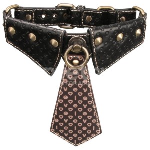Coleira com Guia Exclusive Collar