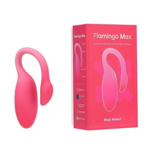 Bullet com Controle via Aplicativo à Distância