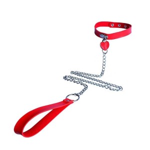 Coleira com Guia de Corrente