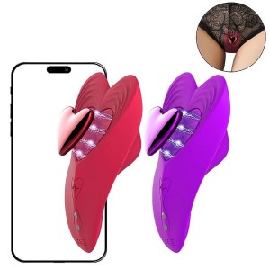 Vibrador de Calcinha Controle à Longa Distância APP 
