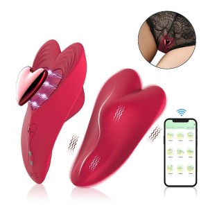 Vibrador de Calcinha Controle à Longa Distância APP 